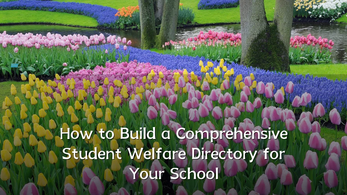 How to Build a Comprehensive Student Welfare Directory for Your School