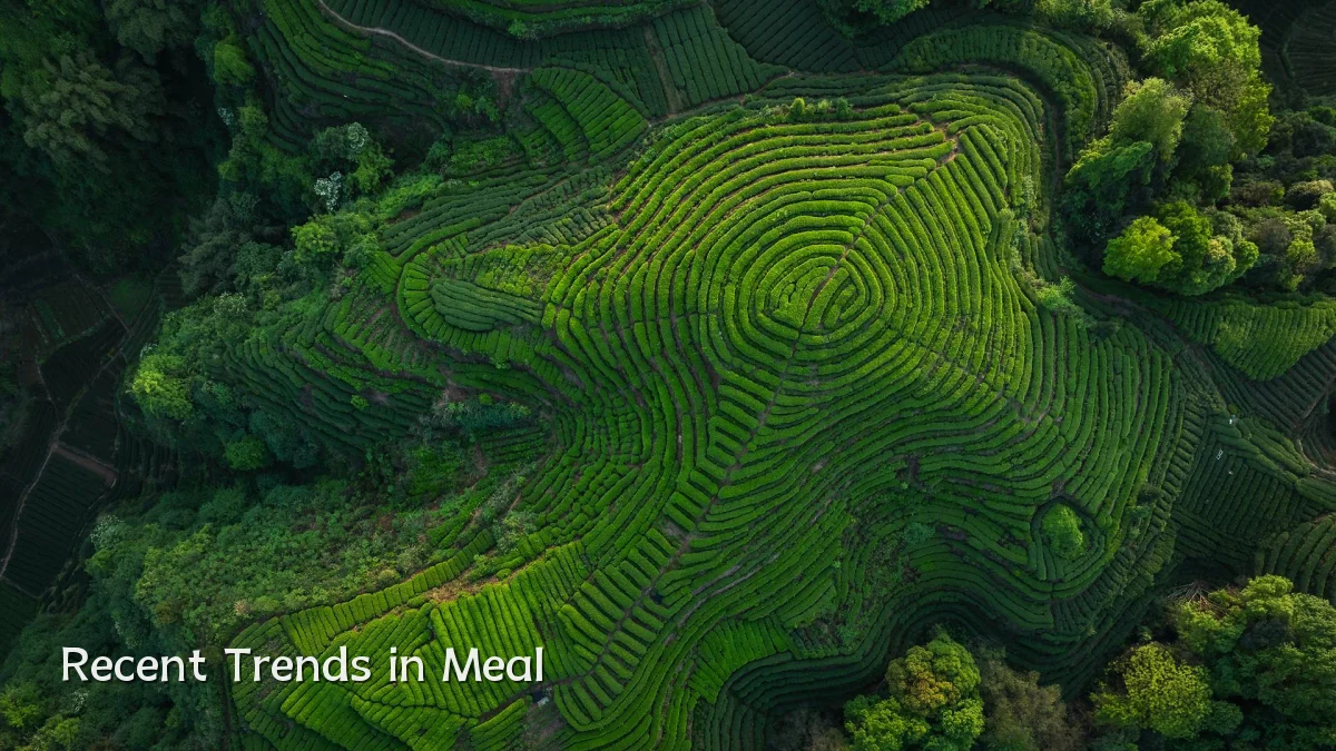 Recent Trends in Meal