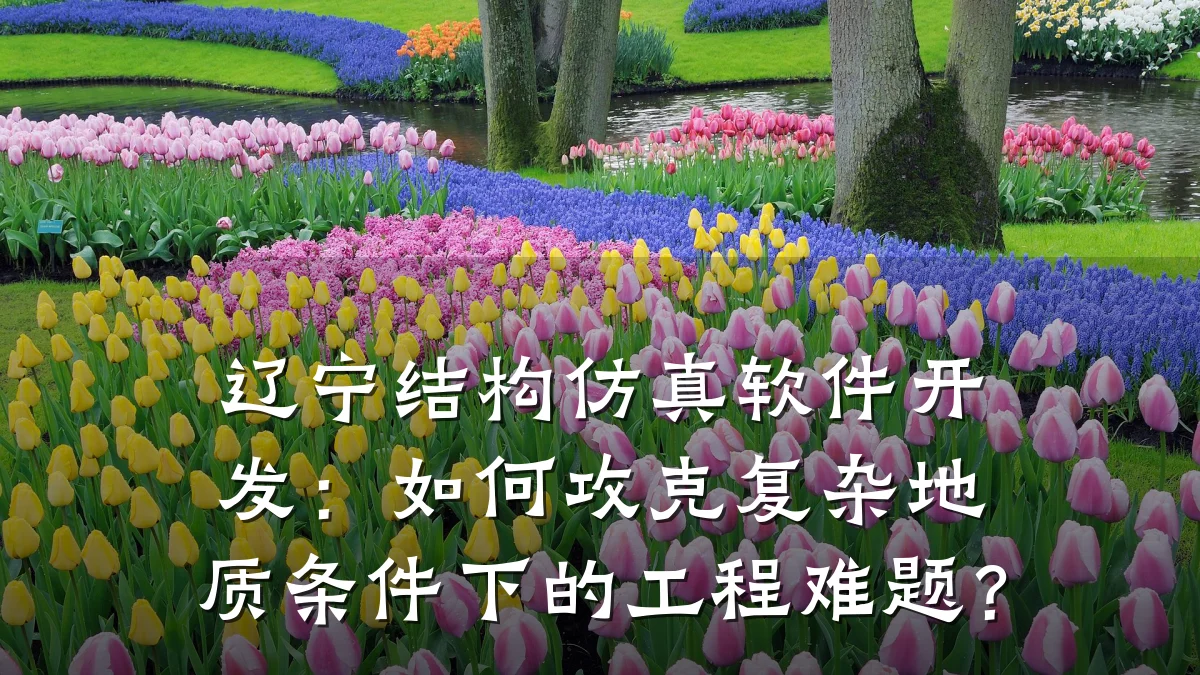 辽宁结构仿真软件开发:如何攻克复杂地质条件下的工程难题?