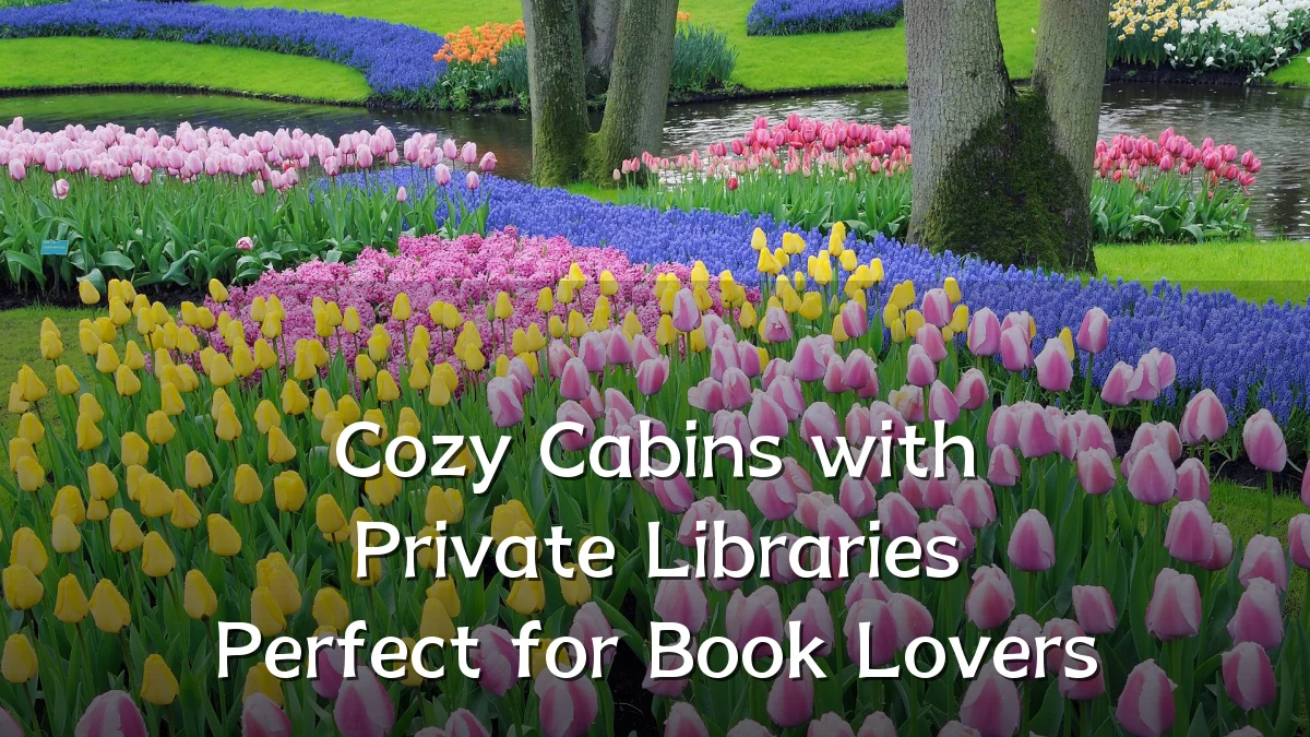Cozy Cabins with Private Libraries Perfect for Book Lovers