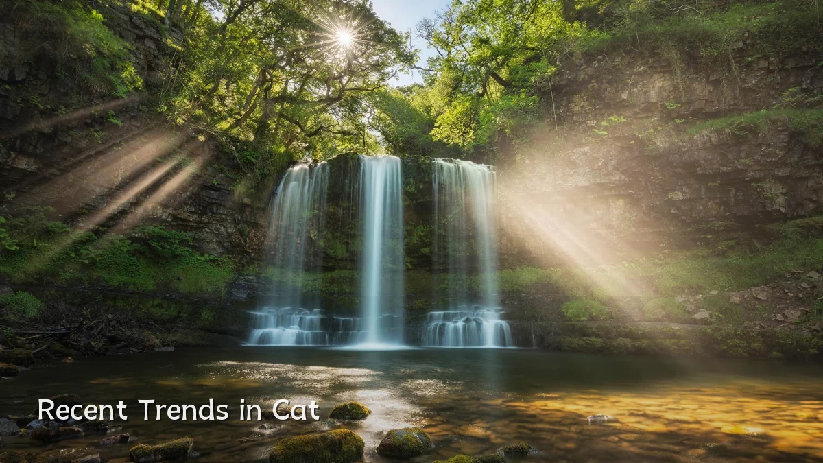 Recent Trends in Cat