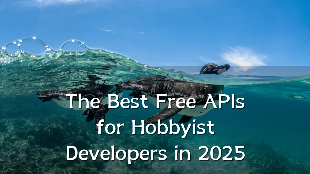 The Best Free APIs for Hobbyist Developers in 2025