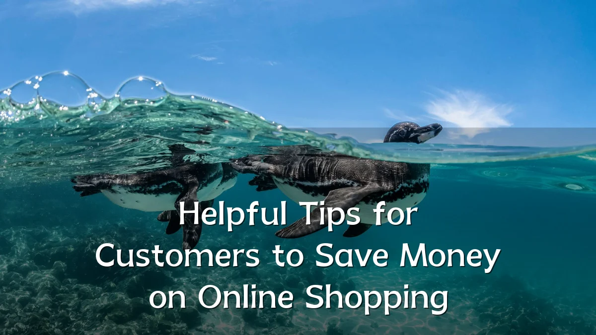 Helpful Tips for Customers to Save Money on Online Shopping