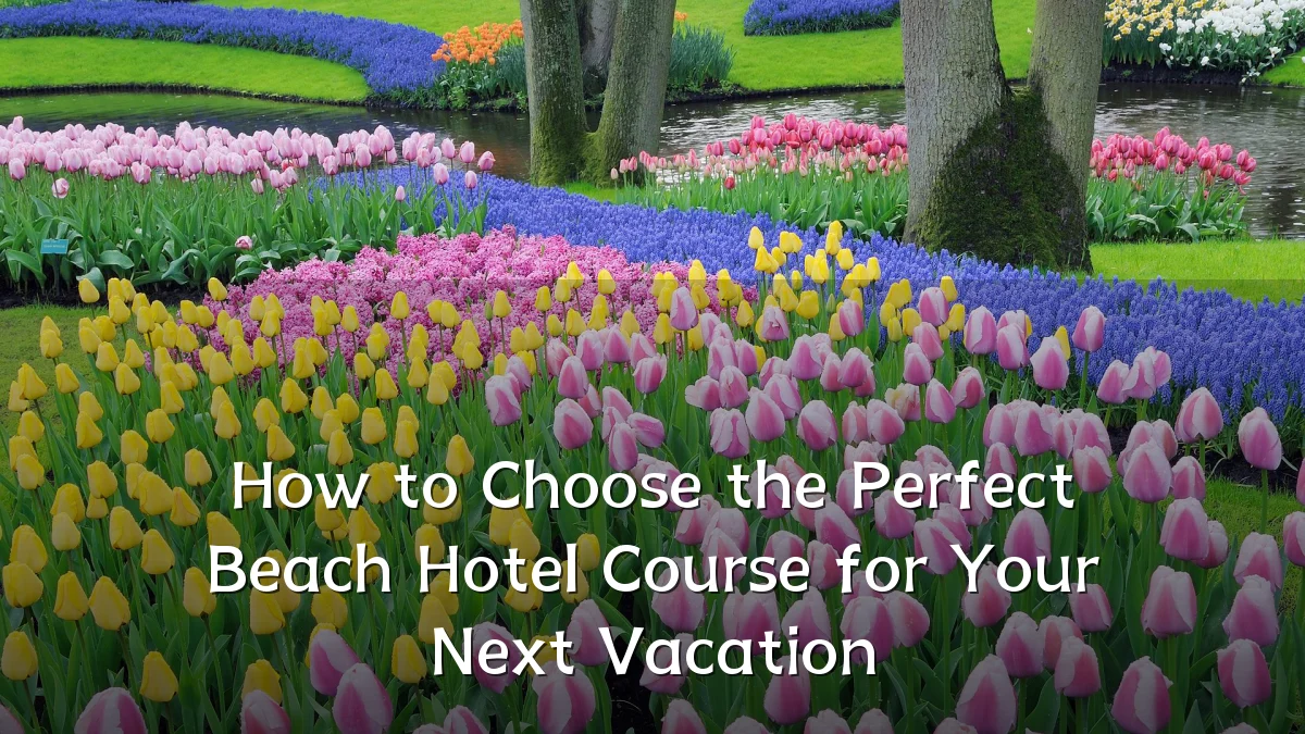 How to Choose the Perfect Beach Hotel Course for Your Next Vacation