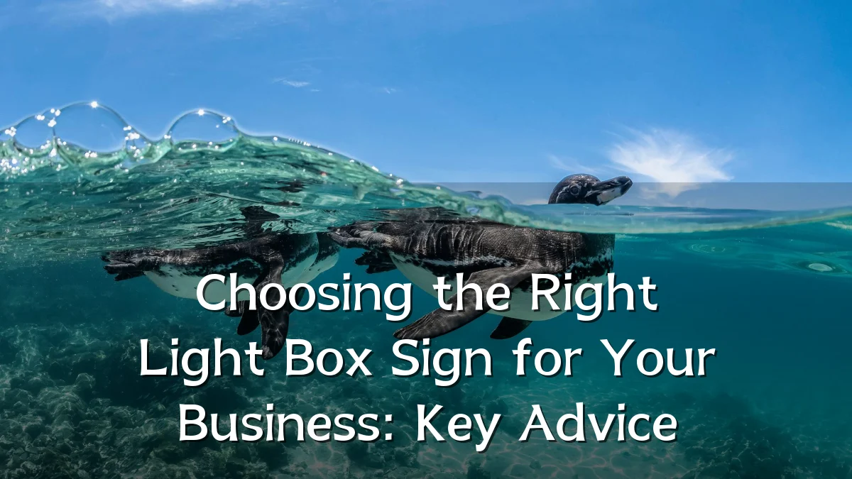Choosing the Right Light Box Sign for Your Business: Key Advice