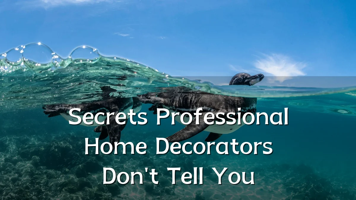 Secrets Professional Home Decorators Don't Tell You