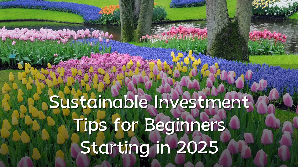 Sustainable Investment Tips for Beginners Starting in 2025