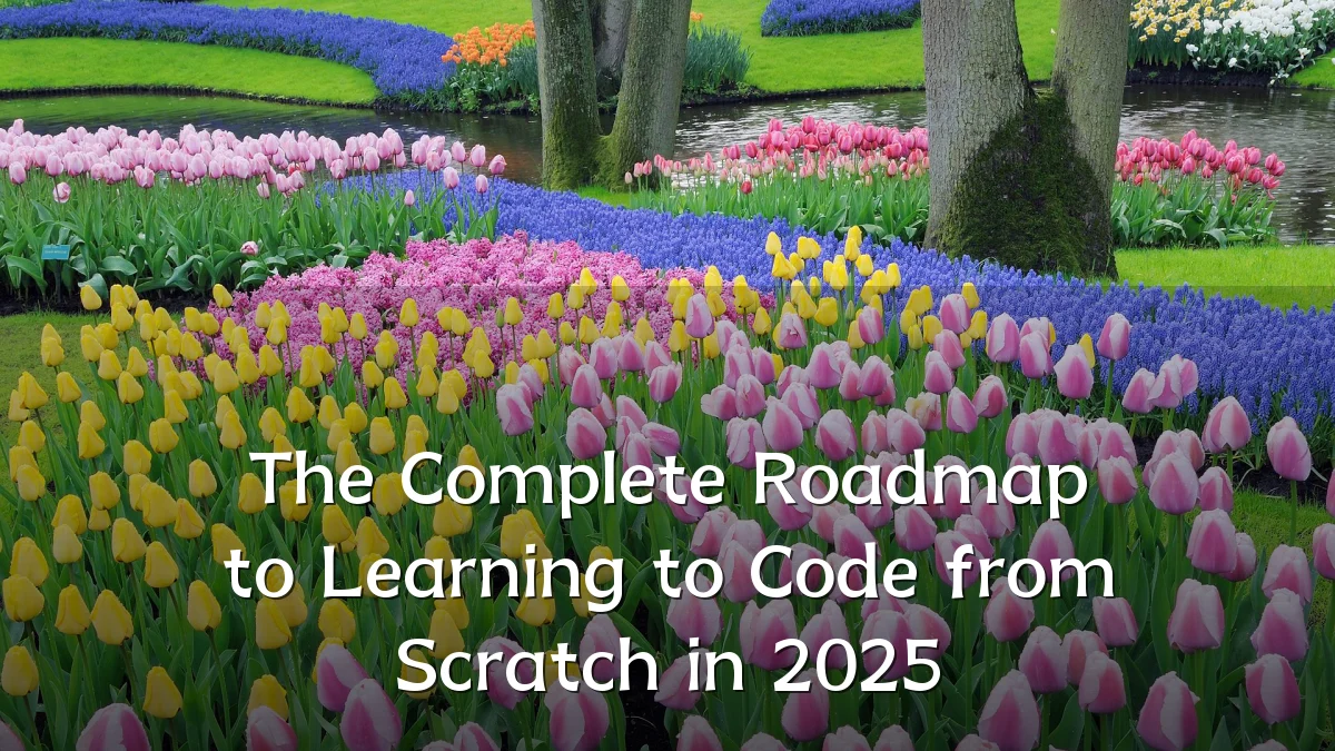 The Complete Roadmap to Learning to Code from Scratch in 2025