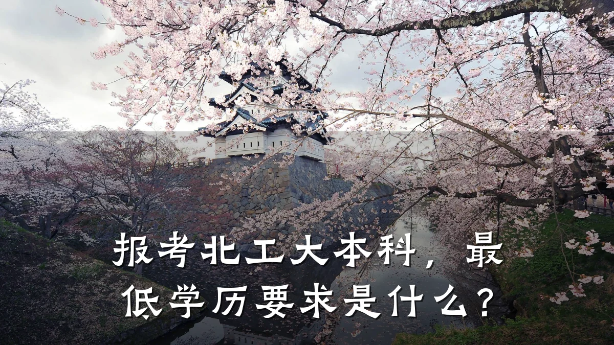 报考北工大本科，最低学历要求是什么？