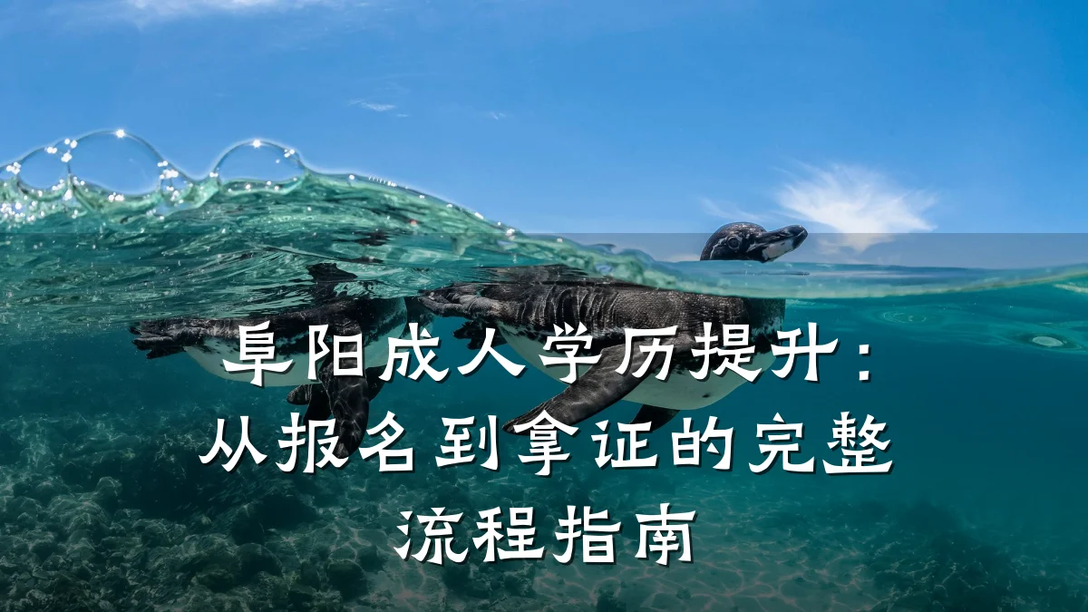 阜阳成人学历提升：从报名到拿证的完整流程指南