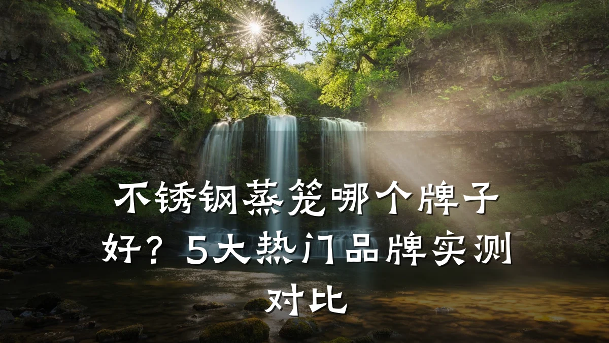 不锈钢蒸笼哪个牌子好？5大热门品牌实测对比