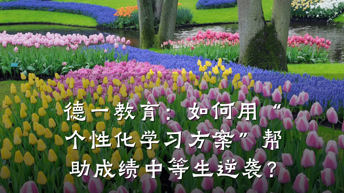 德一教育：如何用“个性化学习方案”帮助成绩中等生逆袭？