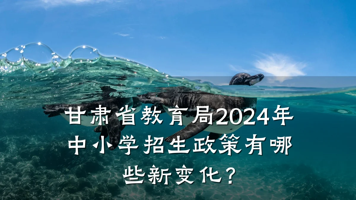 甘肃省教育局2024年中小学招生政策有哪些新变化?