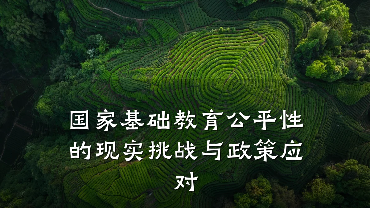 国家基础教育公平性的现实挑战与政策应对